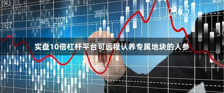 实盘10倍杠杆平台可远程认养专属地块的人参