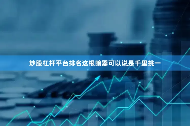 炒股杠杆平台排名这根暗器可以说是千里挑一
