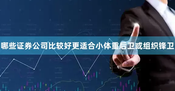 哪些证券公司比较好更适合小体重后卫或组织锋卫